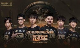 鸟叔粉丝群爆料视频在线观看,揭秘热门视频幕后故事