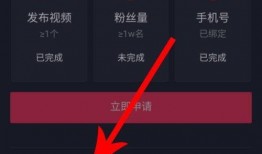 爆料视频顶置怎么看,揭秘幕后操作与热门话题背后的真相