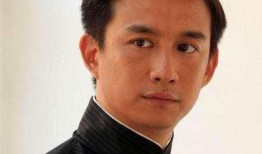 黄磊爆料海青事件视频,真相背后引人深思