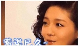 娱乐圈最新爆料假结婚,明星夫妻疑假结婚，真相令人咋舌！